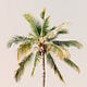 Under The Palm