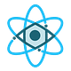 The Quantum Observer