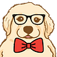 The Golden Pupper