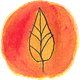 Campo Visual