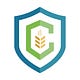 Grains in Context: Where Macro and Ag Meet