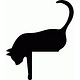 Something About Cats