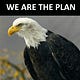 We Are The Plan - Newsletter