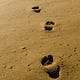 Seliria’s Newsletter