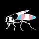 The Transgender Gadfly
