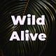 Wild Alive