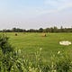Landowners' Voice