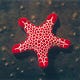 The Order of the Vermillion Star