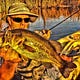 Kayakjak's Fishing Intel