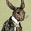 Hats and Rabbits: What We See and What We Don't