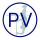 Pole Vault Online