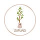 Sapling