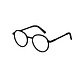 the spectacle