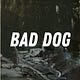 BAD DOG