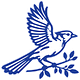 The Blue Jay