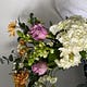 Frances’s Newsletter