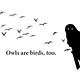 Owls Are Birds, Too