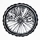 Spoke Yokes