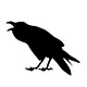 The Barking Crow on Substack