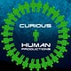 The Curious Substack