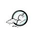 Revel//Reveal