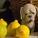 Good Intentions Bad Outcome (in Animal Welfare)