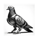 Robot Pigeon