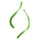 RootStemLeaf