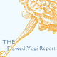 The Flawed Yogi Report