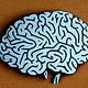 Looking for Learning