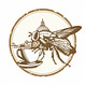 The Roman Fly