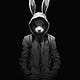 Enter the Rabbit Hole