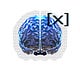 BrainXAI's Substack