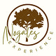 Nogales Experience