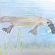 Platypus