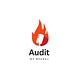 Audit By Neeraj