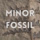 Minor Fossil