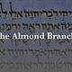 The Almond Branch