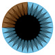 3blue1brown’s Substack
