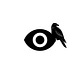 Odin's Eye Substack