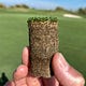 The ct_turf newsletter