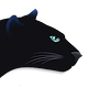 The Bluecat Stack by Allan Ewart
