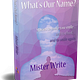 Mister Write