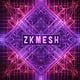ZK Mesh