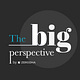 The Big Perspective by Zerodha
