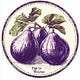 Figs in Winter: Stoicism and Beyond