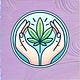 Senior Savvy Cannabis