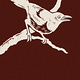The Magpie