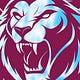 Aston Villa Review