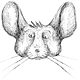 Chinchilla Squeaks